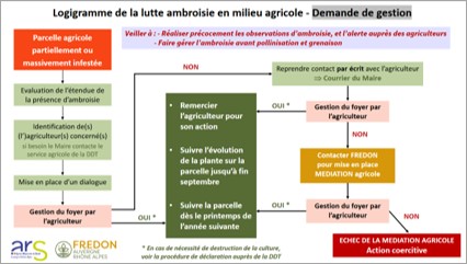 Vignette logigramme