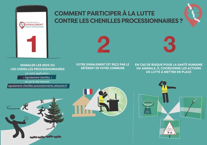 Plateforme-processionnaires