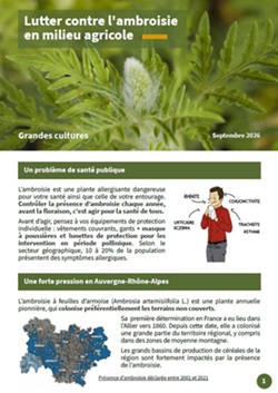 Plaquette-agri